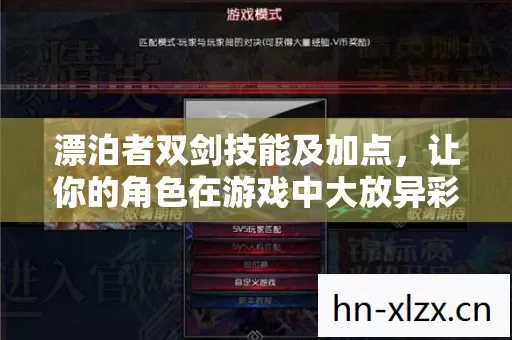 漂泊者双剑技能及加点,让你的角色在游戏中大放异彩 漂泊者双剑技能及加点,让你的角色在游戏中大放异彩