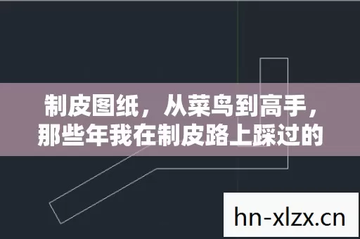 那些年我在制皮路上踩过的坑与摸出的门道图片