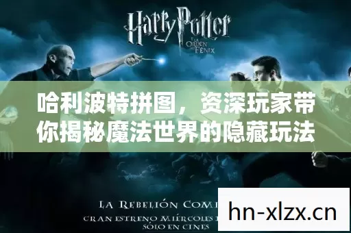 哈利波特拼图,资深玩家带你揭秘魔法世界的隐藏玩法 哈利波特拼图,资深玩家带你揭秘魔法世界的隐藏玩法
