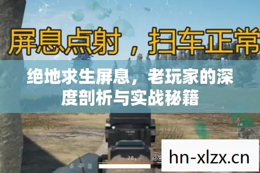 绝地求生屏息,老玩家的深度剖析与实战秘籍 绝地求生屏息,老玩家的深度剖析与实战秘籍