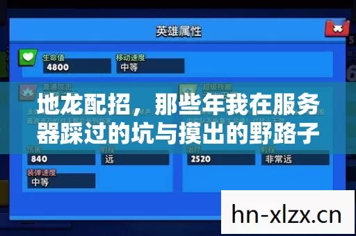 地龙配招,那些年我在服务器踩过的坑与摸出的野路子 地龙配招,那些年我在服务器踩过的坑与摸出的野路子