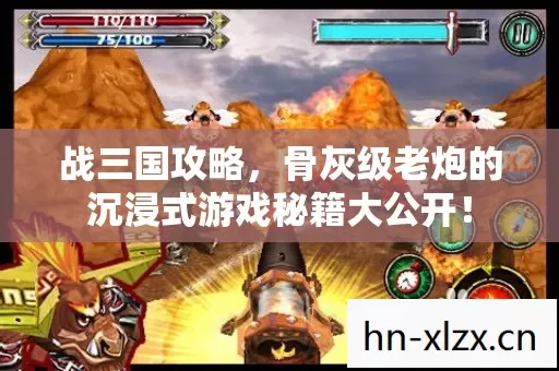 战三国攻略,骨灰级老炮的沉浸式游戏秘籍大公开! 战三国攻略,骨灰级老炮的沉浸式游戏秘籍大公开!