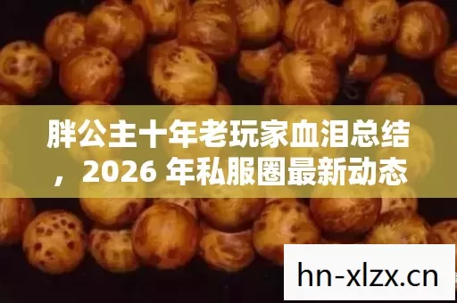 2026 年私服圈最新动态下的避坑指南图片