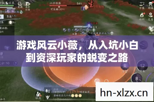游戏风云小薇,从入坑小白到资深玩家的蜕变之路 游戏风云小薇,从入坑小白到资深玩家的蜕变之路