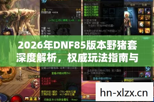 2026年DNF85版本野猪套深度解析,权威玩法指南与痛点解决方案 2026年DNF85版本野猪套深度解析,权威玩法指南与痛点解决方案