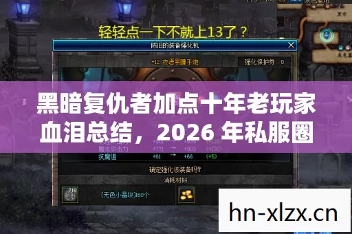 黑暗复仇者加点十年老玩家血泪总结，2026 年私服圈最新避坑指南