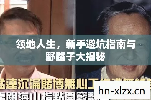 新手避坑指南与野路子大揭秘图片