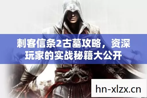资深玩家的实战秘籍大公开图片