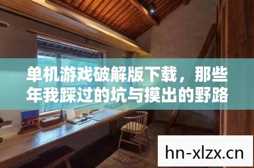 那些年我踩过的坑与摸出的野路子图片