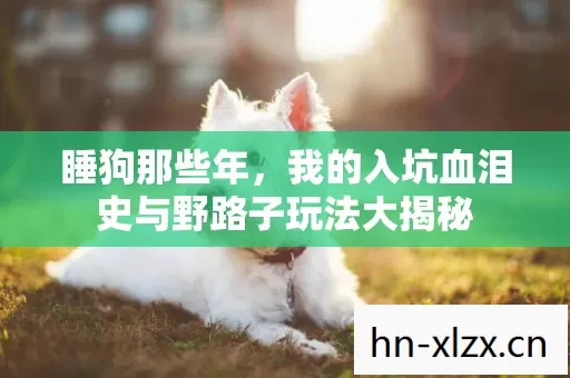 睡狗那些年,我的入坑血泪史与野路子玩法大揭秘 睡狗那些年,我的入坑血泪史与野路子玩法大揭秘