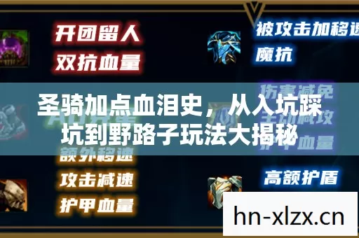 圣骑加点血泪史,从入坑踩坑到野路子玩法大揭秘 圣骑加点血泪史,从入坑踩坑到野路子玩法大揭秘