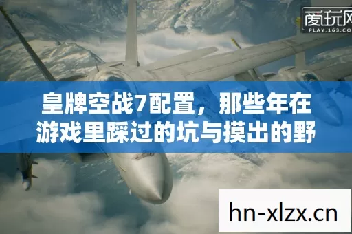 那些年在游戏里踩过的坑与摸出的野路子图片