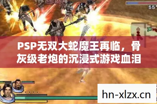 PSP无双大蛇魔王再临,骨灰级老炮的沉浸式游戏血泪史与实战秘籍 PSP无双大蛇魔王再临,骨灰级老炮的沉浸式游戏血泪史与实战秘籍
