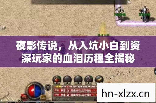 从入坑小白到资深玩家的血泪历程全揭秘图片