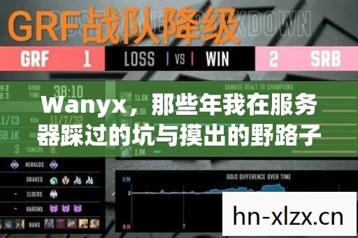 Wanyx,那些年我在服务器踩过的坑与摸出的野路子 Wanyx,那些年我在服务器踩过的坑与摸出的野路子