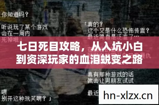 从入坑小白到资深玩家的血泪蜕变之路图片