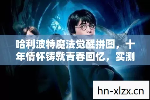 哈利波特魔法觉醒拼图图片