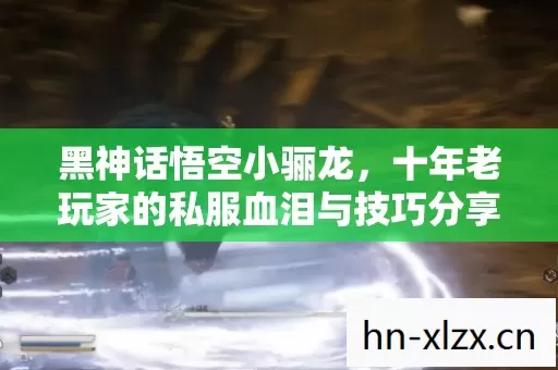十年老玩家的私服血泪与技巧分享图片