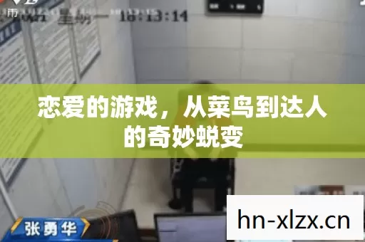 从菜鸟到达人的奇妙蜕变图片