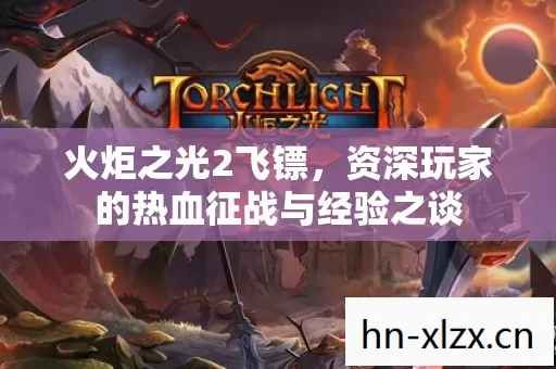 资深玩家的热血征战与经验之谈图片