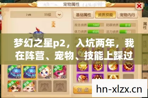 梦幻之星p2,入坑两年,我在阵营、宠物、技能上踩过的那些坑 梦幻之星p2,入坑两年,我在阵营、宠物、技能上踩过的那些坑