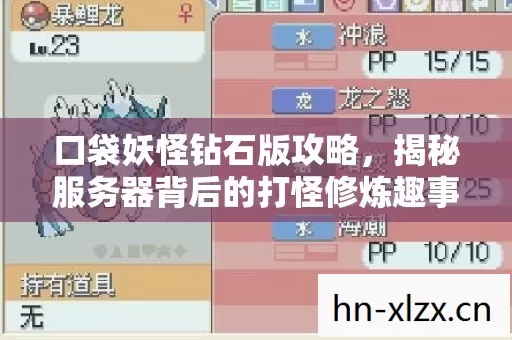口袋妖怪钻石版攻略,揭秘服务器背后的打怪修炼趣事 口袋妖怪钻石版攻略,揭秘服务器背后的打怪修炼趣事