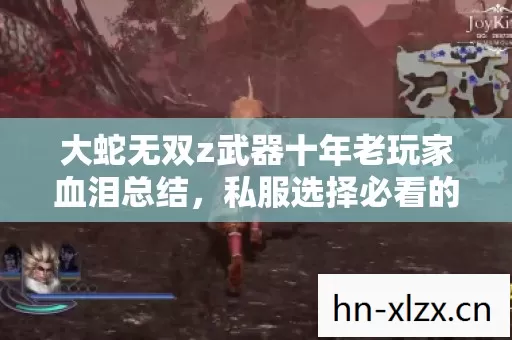 大蛇无双z武器十年老玩家血泪总结,私服选择必看的那些事儿 大蛇无双z武器十年老玩家血泪总结,私服选择必看的那些事儿