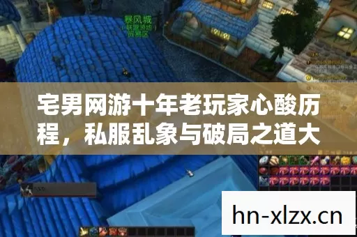 宅男网游十年老玩家心酸历程,私服乱象与破局之道大揭秘 宅男网游十年老玩家心酸历程,私服乱象与破局之道大揭秘