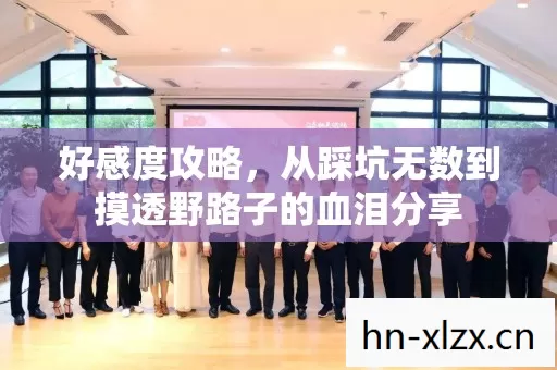 好感度攻略,从踩坑无数到摸透野路子的血泪分享 好感度攻略,从踩坑无数到摸透野路子的血泪分享