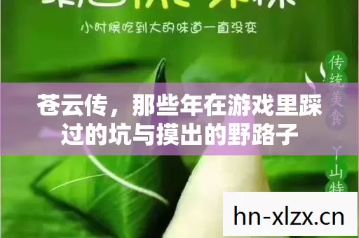 苍云传,那些年在游戏里踩过的坑与摸出的野路子 苍云传,那些年在游戏里踩过的坑与摸出的野路子