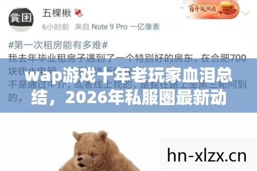 wap游戏十年老玩家血泪总结,2026年私服圈最新动态及避坑指南 wap游戏十年老玩家血泪总结,2026年私服圈最新动态及避坑指南