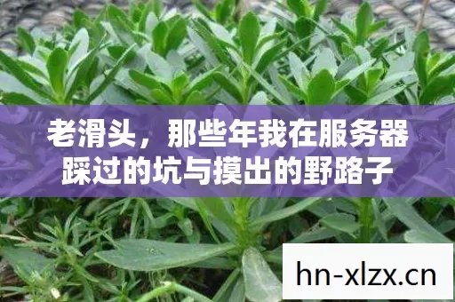 老滑头,那些年我在服务器踩过的坑与摸出的野路子 老滑头,那些年我在服务器踩过的坑与摸出的野路子