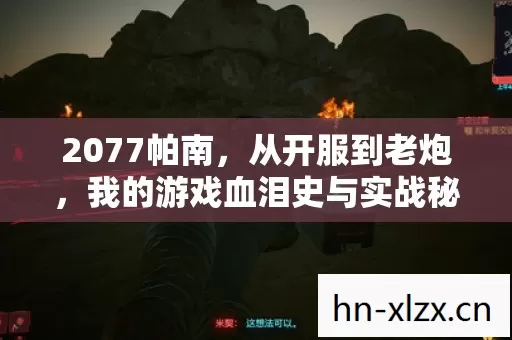 2077帕南,从开服到老炮,我的游戏血泪史与实战秘籍大公开 2077帕南,从开服到老炮,我的游戏血泪史与实战秘籍大公开