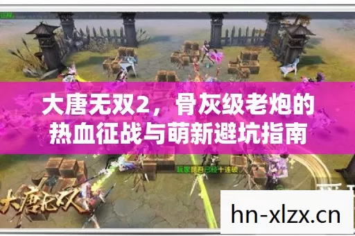 大唐无双2,骨灰级老炮的热血征战与萌新避坑指南 大唐无双2,骨灰级老炮的热血征战与萌新避坑指南