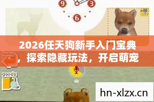 2026任天狗新手入门宝典,探索隐藏玩法,开启萌宠养成之旅 2026任天狗新手入门宝典,探索隐藏玩法,开启萌宠养成之旅
