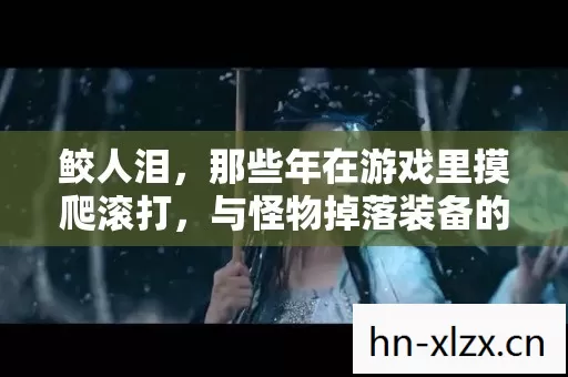 鲛人泪,那些年在游戏里摸爬滚打,与怪物掉落装备的爱恨情仇 鲛人泪,那些年在游戏里摸爬滚打,与怪物掉落装备的爱恨情仇