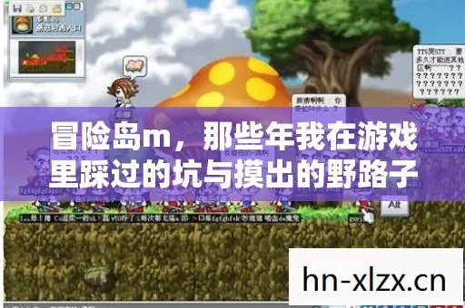冒险岛m,那些年我在游戏里踩过的坑与摸出的野路子 冒险岛m,那些年我在游戏里踩过的坑与摸出的野路子