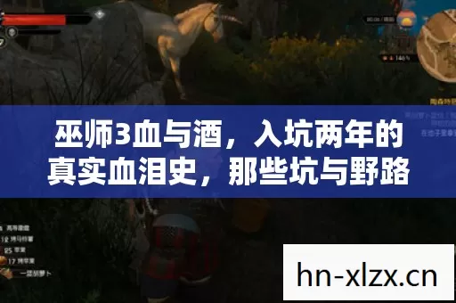 巫师3血与酒,入坑两年的真实血泪史,那些坑与野路子全分享 巫师3血与酒,入坑两年的真实血泪史,那些坑与野路子全分享
