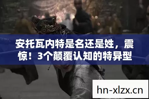 3个颠覆认知的特异型安托瓦内特细节图片